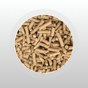 Cattle Feed Super Grower