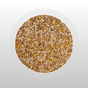 Layer Mash Premix